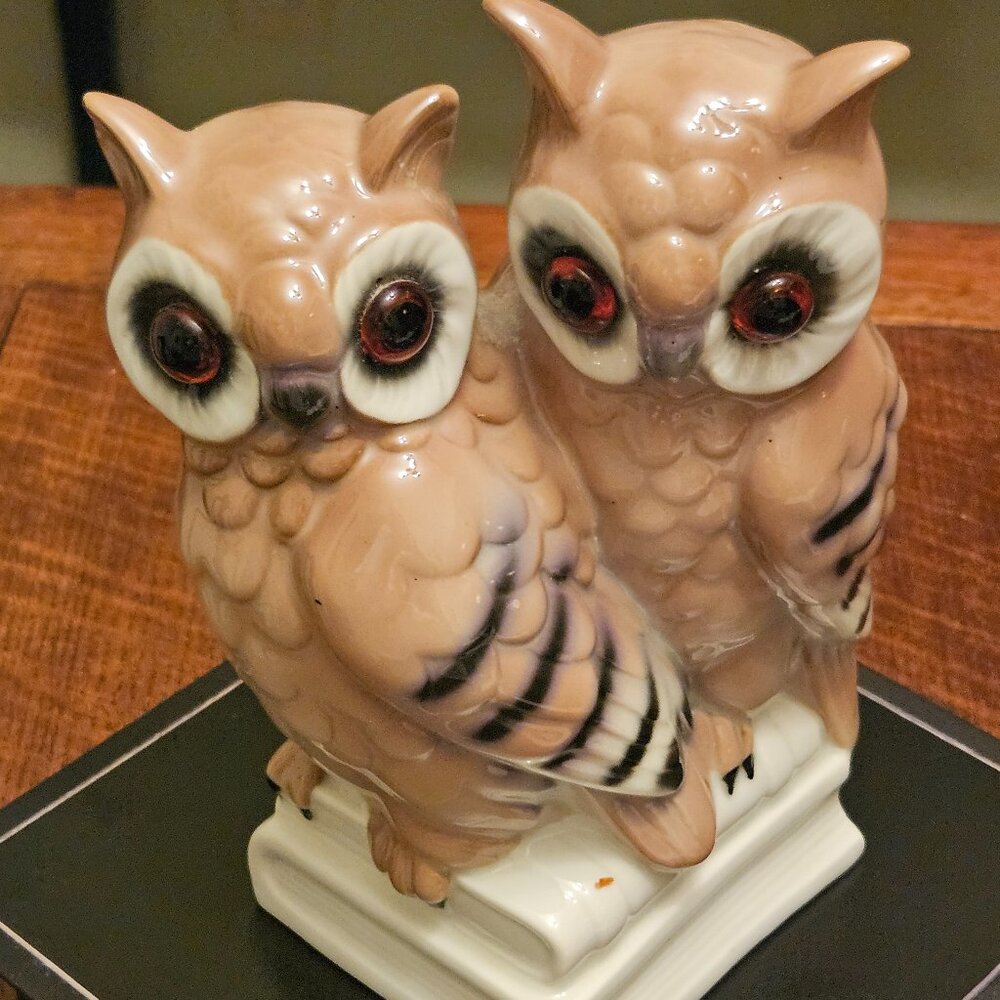 Vintage Porcelain 'Owls of Knowledge' by Gerold Porzellan. West Germany